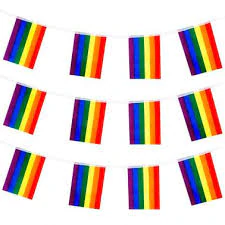 Rainbow paper bunting