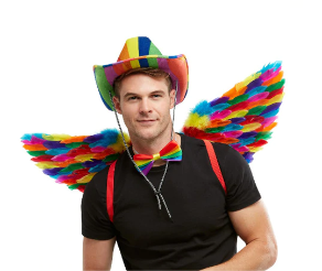Rainbow feather wings